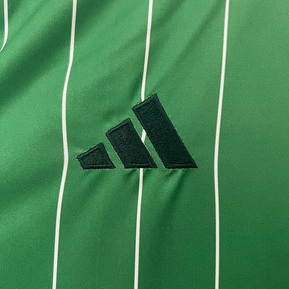 Camiseta 24∕25 Celtic Special Edition